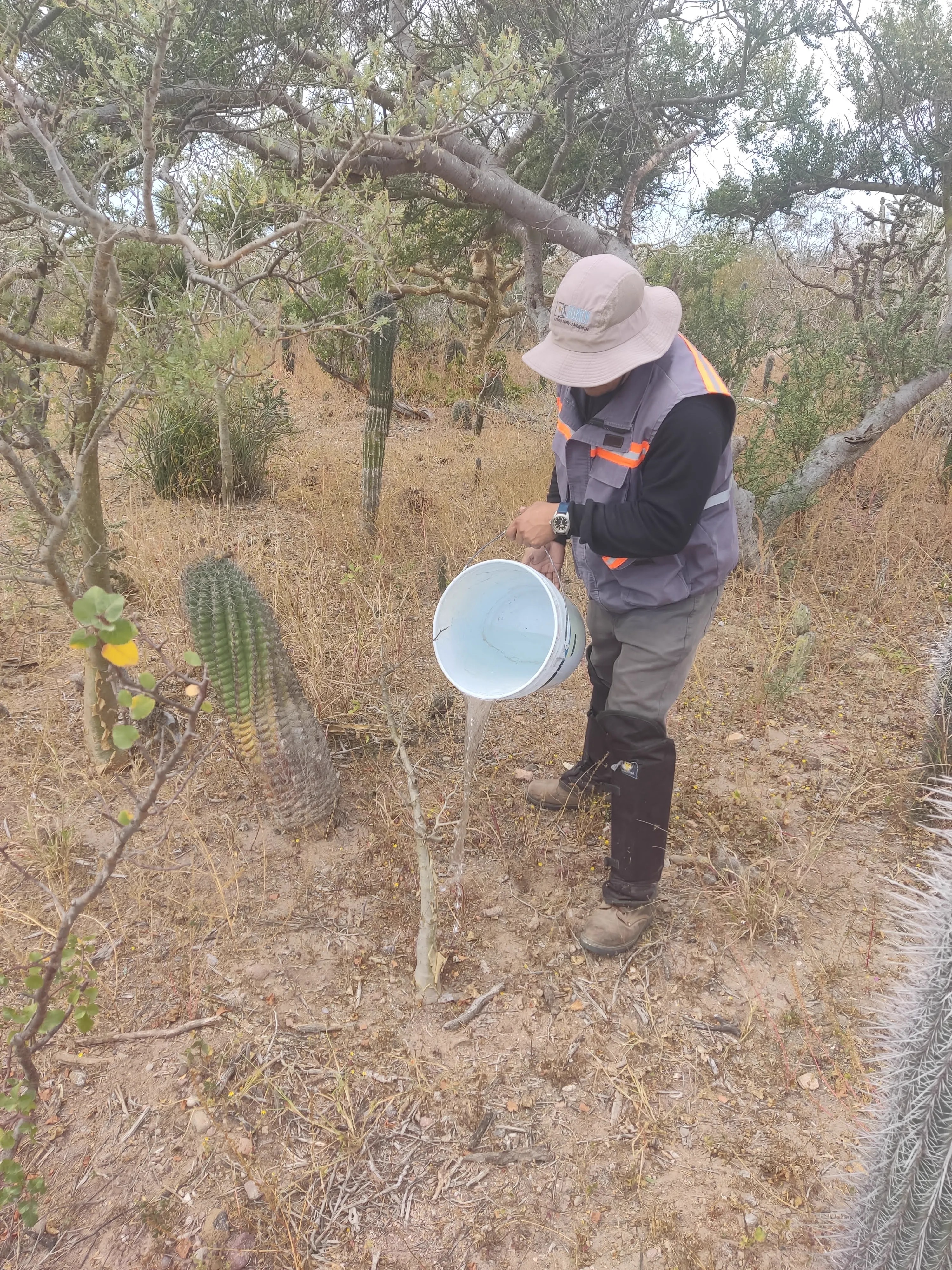Trabajo de campo rescate flora